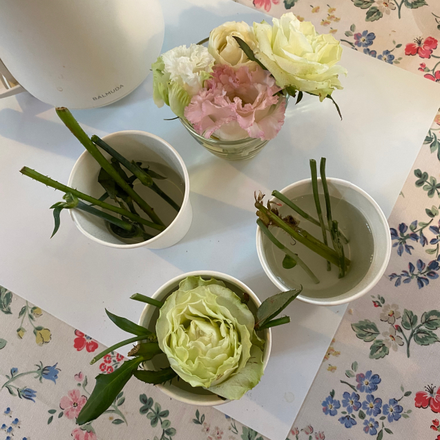 終わった花を挿し木に Mypotteaセンチメンタルな日々with Photos6