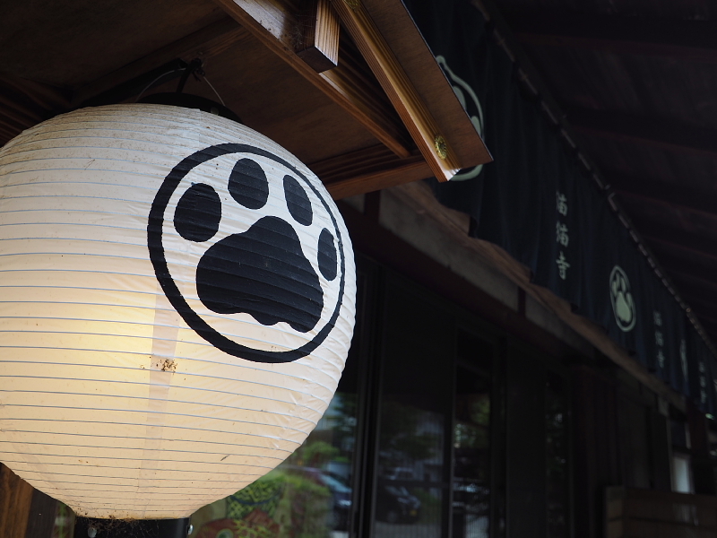 【Photo日記】猫猫寺(にゃんにゃんじ)&プリンにゃらモード ~京都旅②_b0008655_13431102.jpg