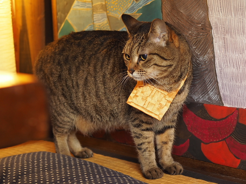 【Photo日記】猫猫寺(にゃんにゃんじ)&プリンにゃらモード ~京都旅②_b0008655_14051063.jpg