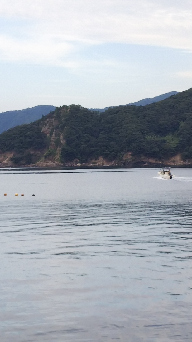 小浜エギング 絶好調大飯ティップラン 岐阜県人の海釣り日記