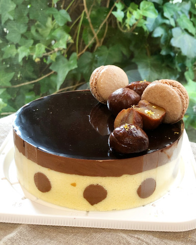17歳のチョコレートムース_a0214059_19533387.jpeg
