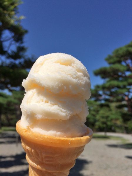 高知城二ノ丸で名物食べてクールダウン_c0081462_11345193.jpg