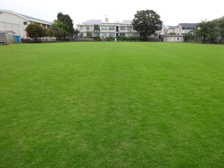 R2 10月の13小校庭芝生 佐野いくお都議 元小平市議 のブログ R2 10月の13小校庭芝生 佐野いくお都議 元小平市議 のブログ