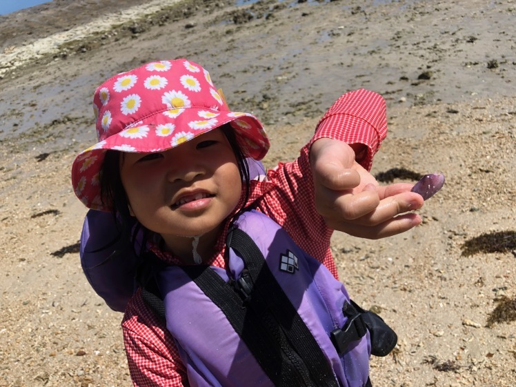 青空ようちえん〔週末〕秋の海辺あそび（10/3）夏から秋へ涼しい風のなかでの海はどんなことが楽しい？親子で１日いろいろな海の遊びを見つけよう！　#中城村_d0363878_17434699.jpg