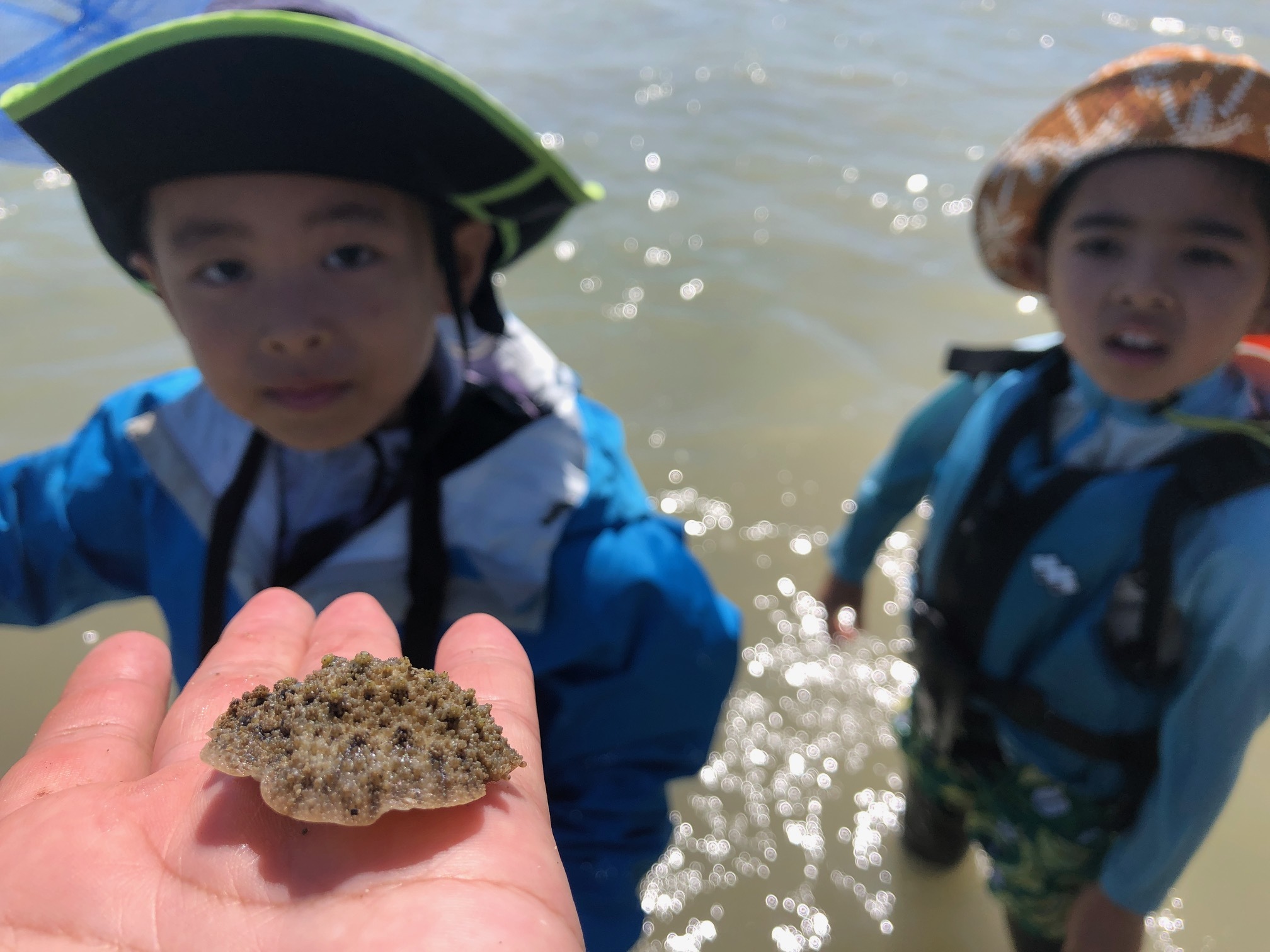 青空ようちえん〔週末〕秋の海辺あそび（10/3）夏から秋へ涼しい風のなかでの海はどんなことが楽しい？親子で１日いろいろな海の遊びを見つけよう！　#中城村_d0363878_17463703.jpg