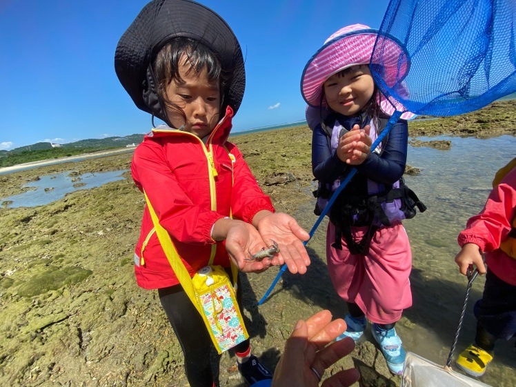 青空ようちえん〔週末〕秋の海辺あそび（10/3）夏から秋へ涼しい風のなかでの海はどんなことが楽しい？親子で１日いろいろな海の遊びを見つけよう！　#中城村_d0363878_17511122.jpg