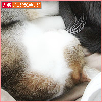 しあわせの風景_a0389088_12100848.jpg