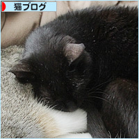 しあわせの風景_a0389088_12100884.jpg