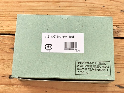 『スイートポテト』 と 『ウェディングラナンキュラス』_d0249193_21244502.jpg