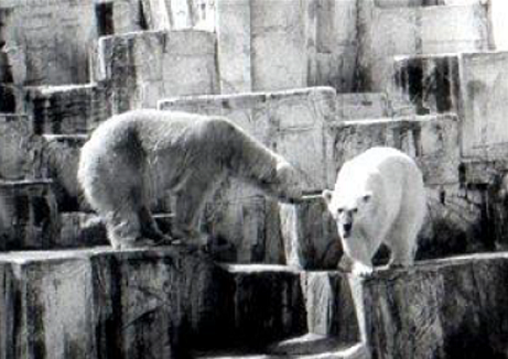 シロクマ Amazon | 泳ぐシロクマ(9x12 アートプリント、壁の装飾トラベル