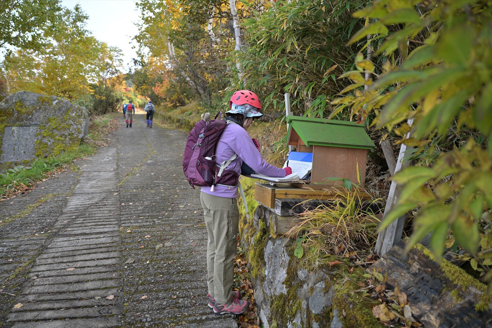 最高の紅葉！ 三段山　崖尾根コース　2020.10.4_a0145819_06014958.jpg