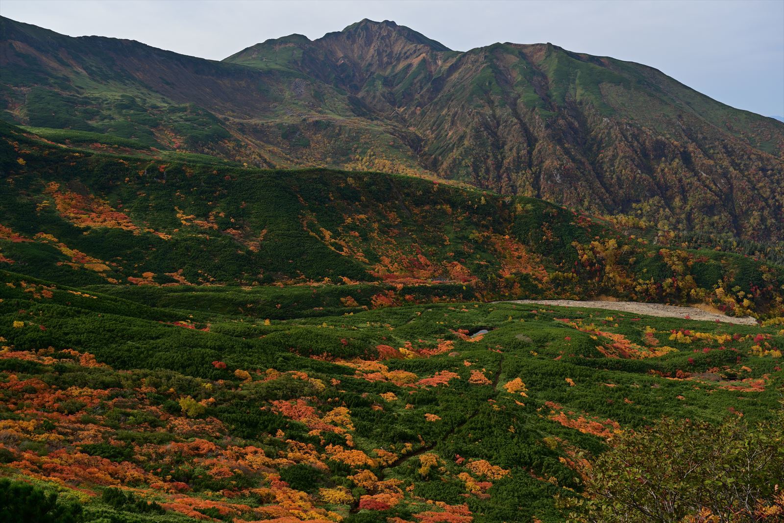 最高の紅葉！ 三段山　崖尾根コース　2020.10.4_a0145819_13011610.jpg