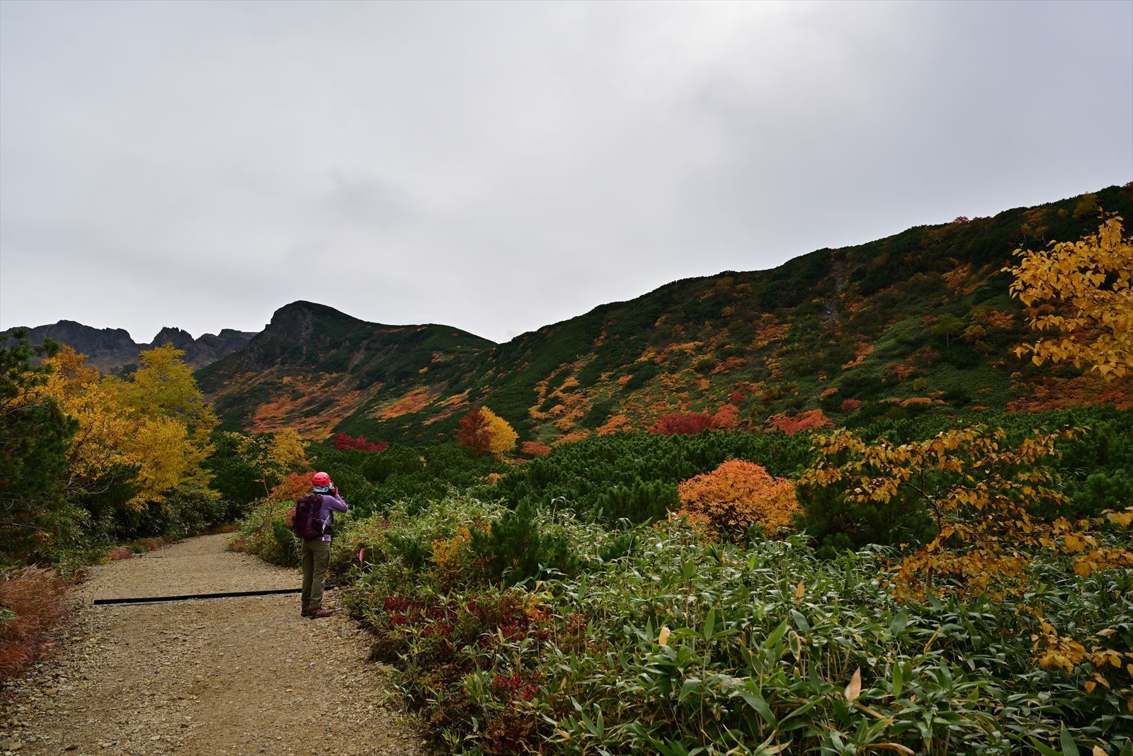 最高の紅葉！ 三段山　崖尾根コース　2020.10.4_a0145819_13481627.jpg