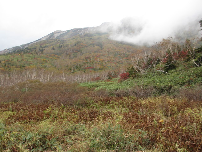 栂池高原の紅葉散策_f0364035_20043754.jpg