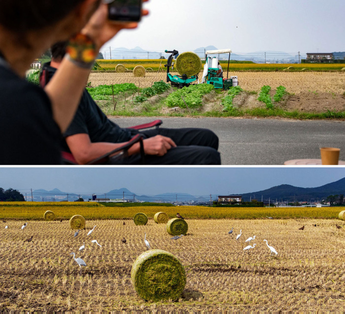 今年も畑で収穫祭。_b0340837_08380076.jpg