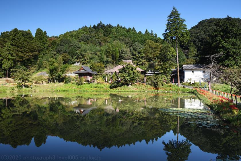 秩父札所25番 久昌寺 彼岸花_e0362037_10454783.jpg