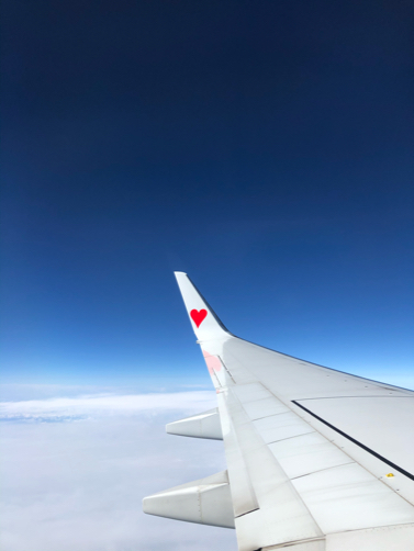 10北海道旅行記 １ 茨城空港から北海道へ パルシステムのある生活