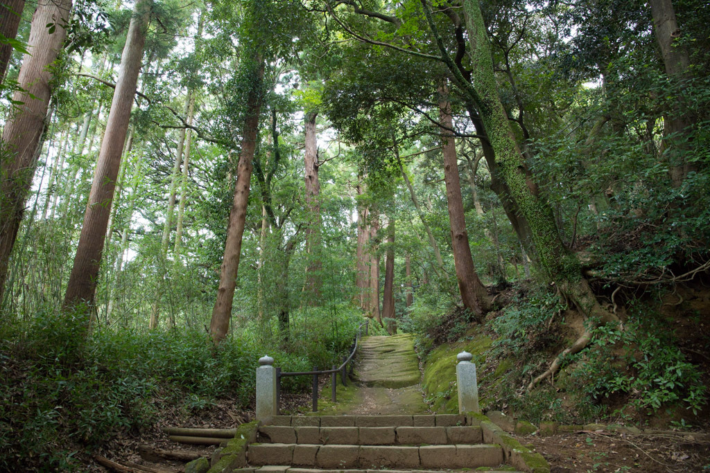 【日向山　宝城坊　日向薬師】_c0400777_07285898.jpg