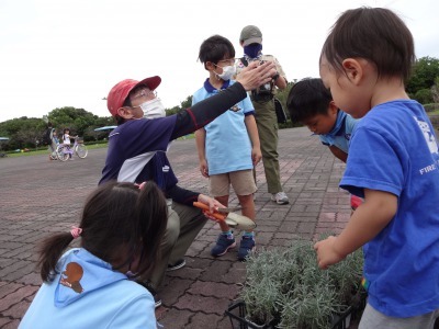 富浜緑地に花壇ができました！_d0338682_12484857.jpg