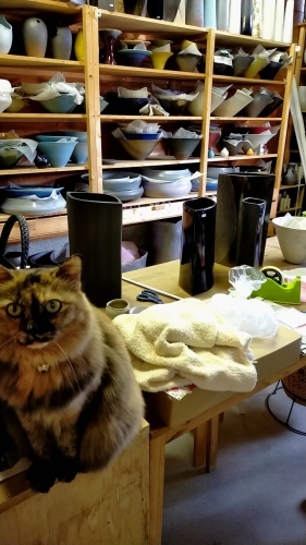 岩田屋本店で華展開催_d0195183_19363120.jpg