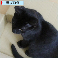 甲状腺機能亢進症だって_a0389088_13352954.jpg