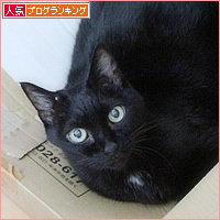 甲状腺機能亢進症だって_a0389088_13352994.jpg