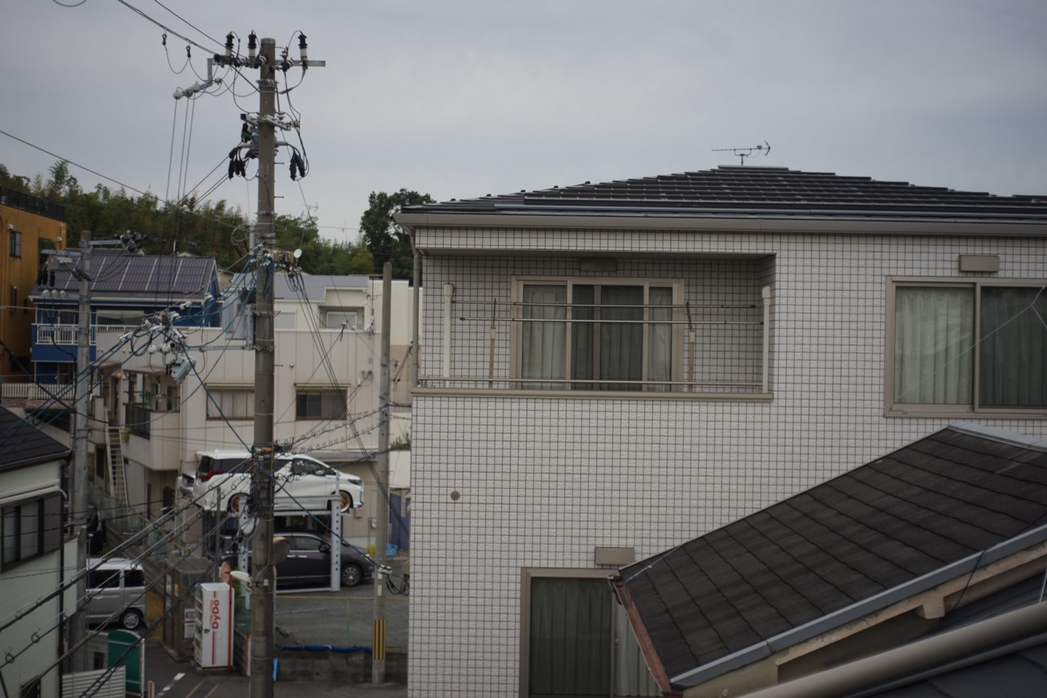 E-Hexanon 50mm F3.5 で マクロ風写真を_b0069128_08473245.jpg