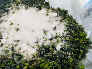しその実_c0051529_11584528.jpg