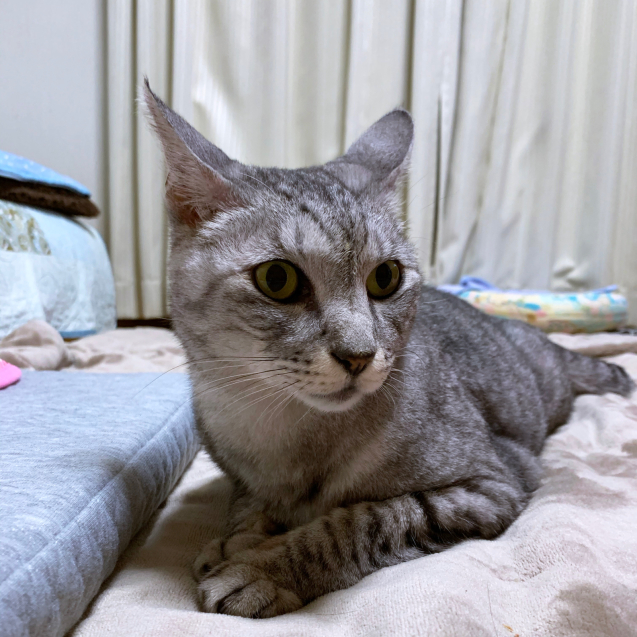 やっぱり変。_d0355333_22402668.jpg