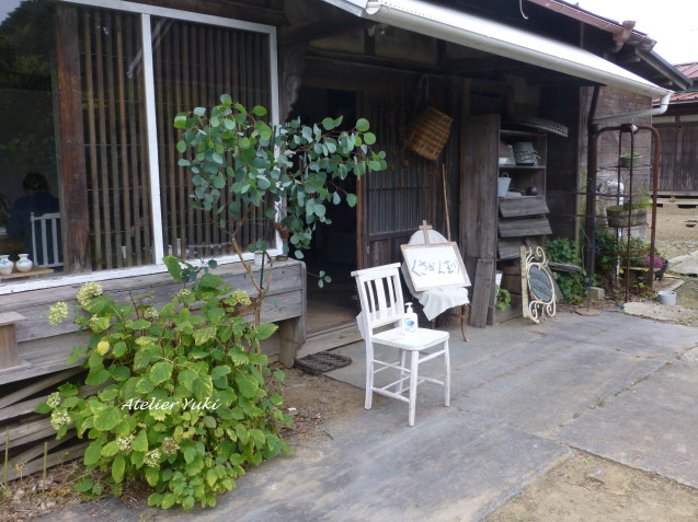 くさベロ^^_f0240834_15324902.jpg