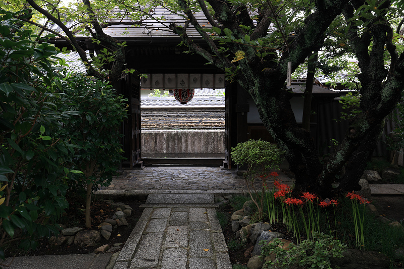 雨宝院の彼岸花_f0155048_23290724.jpg