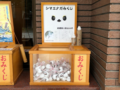 帯広神社 ひつじのお散歩3