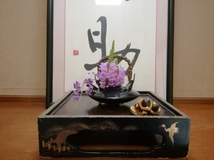 秋の紫…_b0368362_16194969.jpg