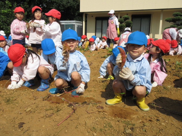 おいもほり & 収穫祭_b0233868_14472498.jpg