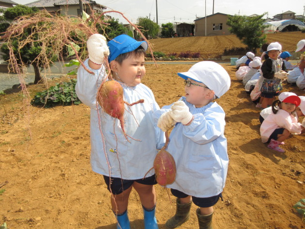 おいもほり & 収穫祭_b0233868_14473728.jpg