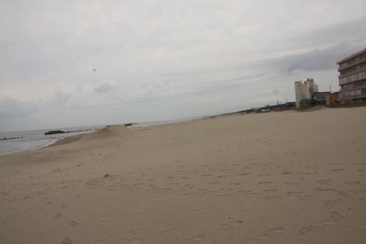 庄内砂丘 & 日本海の日没_b0207284_00112775.jpg