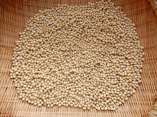 自然農の畑 9月中旬~10月上旬_d0366590_14264143.jpg
