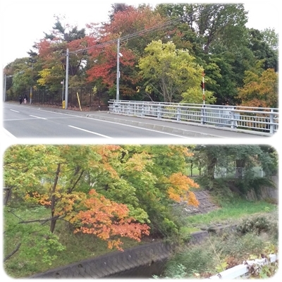 街は秋色に_b0198109_22385853.jpg