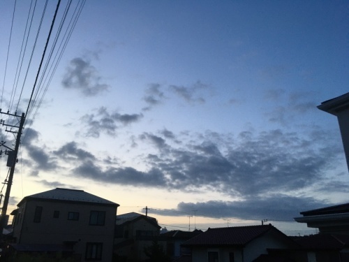 掃除日和_f0369014_08084129.jpeg