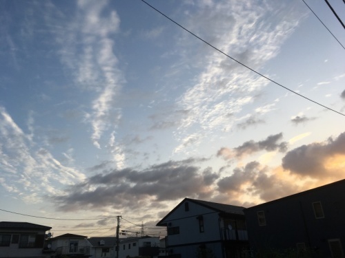 掃除日和_f0369014_08085824.jpeg