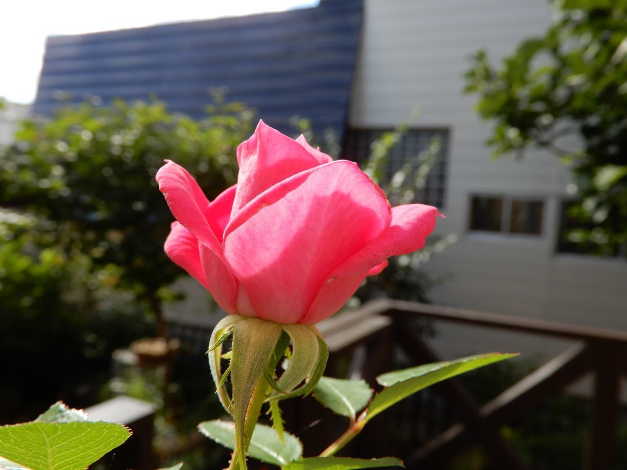 今日も秋_c0025115_21550466.jpg