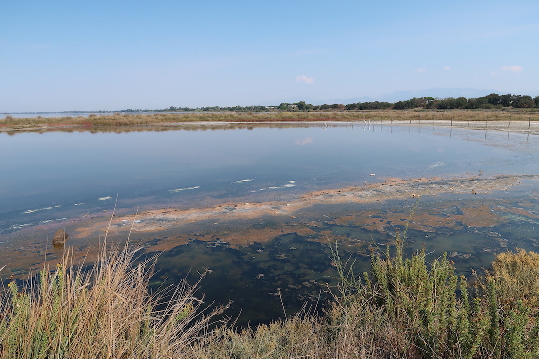 フラミンゴ水鏡きれいチルチェーオ国立公園、ラッツィオ_f0234936_23553553.jpg