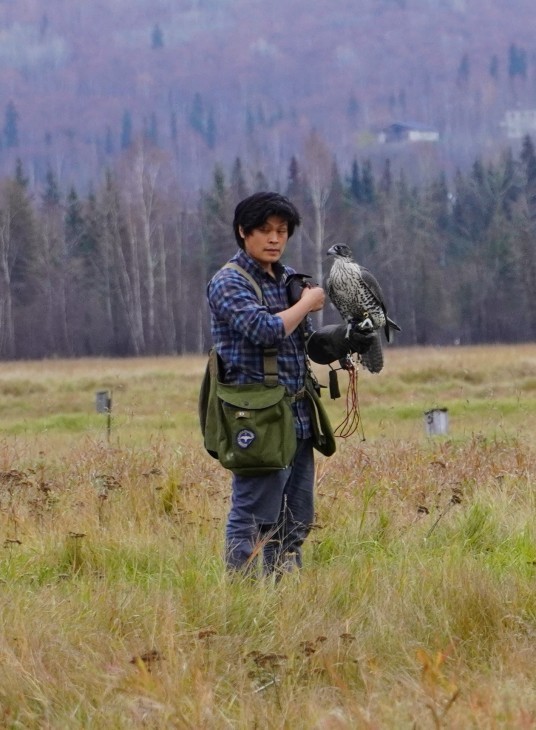 ハヤブサ使い Falconer_b0135948_14180092.jpg