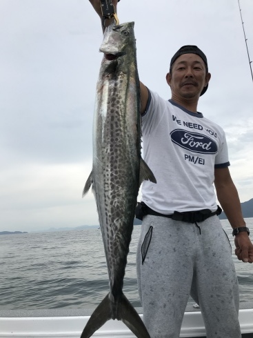 ライトジギング　釣果_b0185158_09593618.jpeg