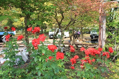 弘前城植物園を秋さんぽ_2020.10.07_d0131668_12034780.jpg