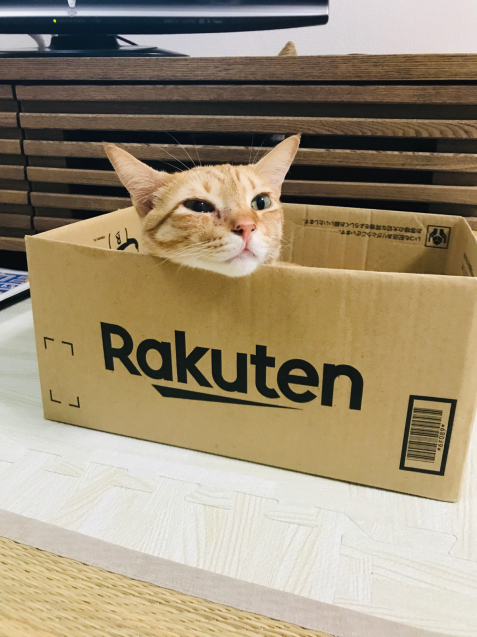この笑顔の為に_d0343573_16352111.jpg