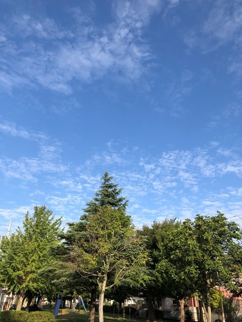 お洗濯日和のはずが_c0257276_15095871.jpg