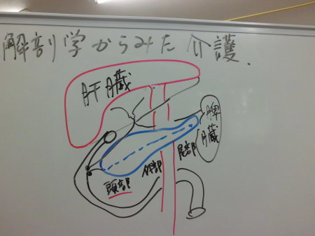 解剖学からみた介護②_e0096277_15502953.jpg