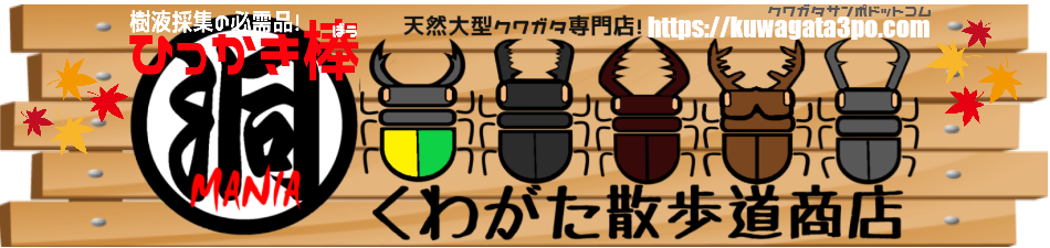 新潟県のオオクワガタ採集！鬼隊長さん、ジェントルさんの2020年自慢の採集個体♪_f0183484_22443866.png