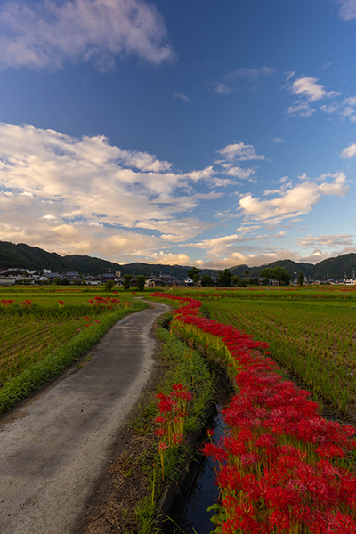 亀岡 曽我部町_e0051888_05330023.jpg